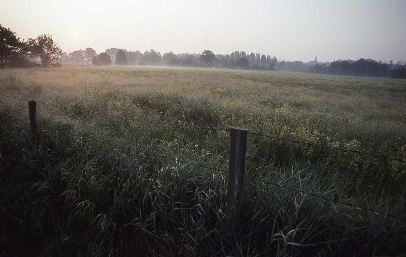 RWT 0293 325-32 France Misty Morning.jpg